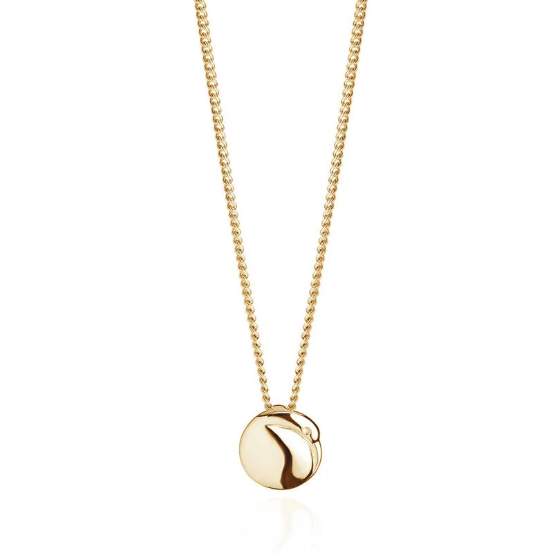 Boh Runga Kiwi Pendant Gold Plate image number 0